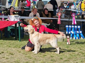 zlatý retriever Enerkid Call me My Joy